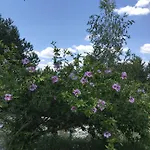Дом отдыха Friends
