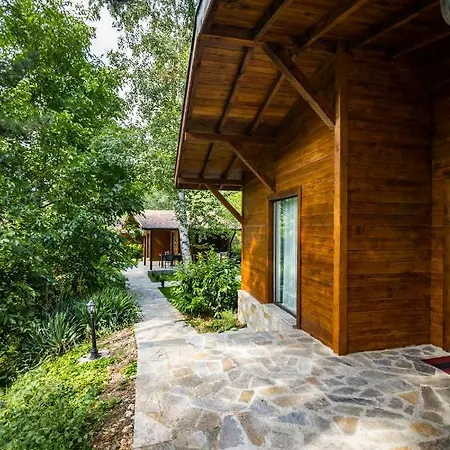 Friends Holiday home