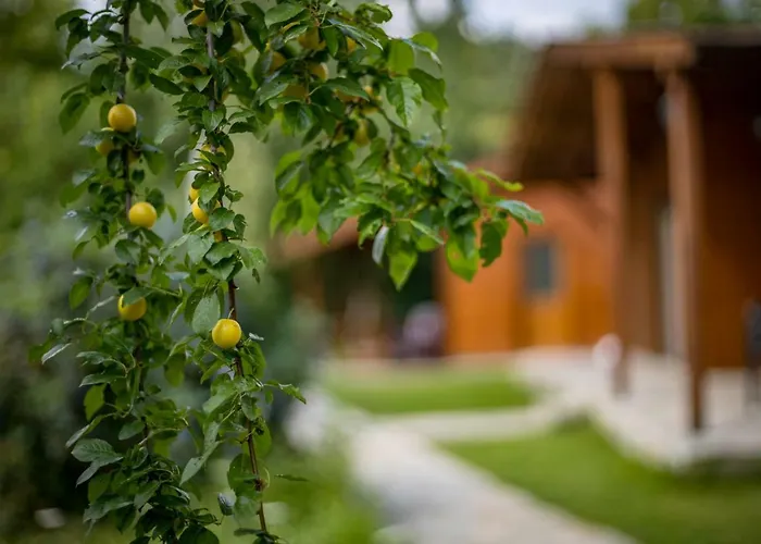 Holiday home Friends *